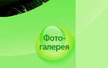 Фотоалерея